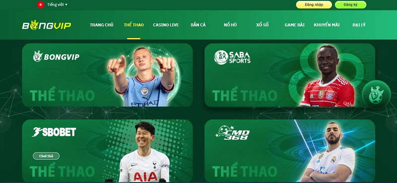 Khám phá nhà cái bk8 uy tín và những ưu điểm nổi bật tại nhà cái bk8