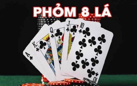 Khám phá những tiện ích hấp dẫn từ Google miễn phí dành cho người dùng Việt Nam